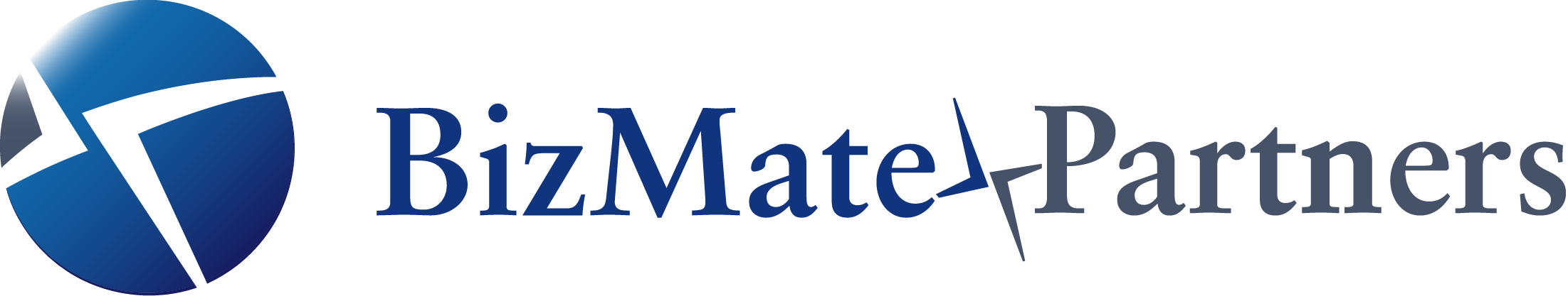 BizMate Partners